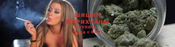 jwh Карпинск