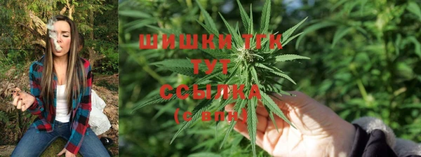 мяу мяу мука Касимов