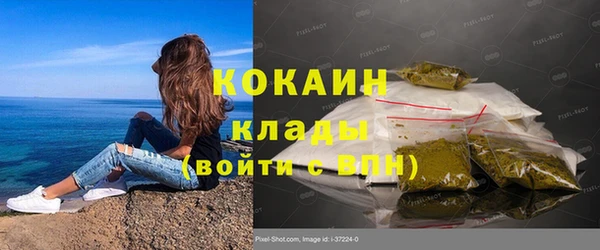 крисы Карталы